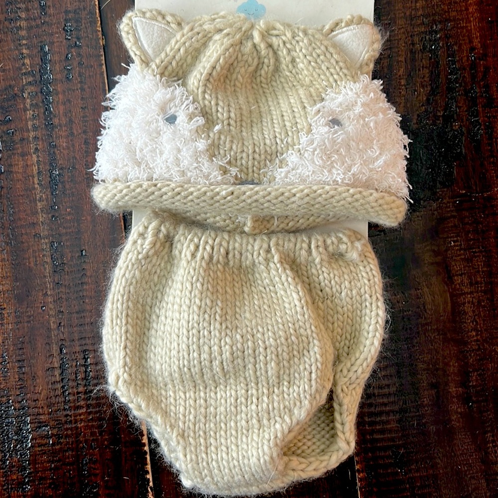 Newborn fox hat and disposer cover